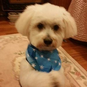 Meet your Posher, Linda